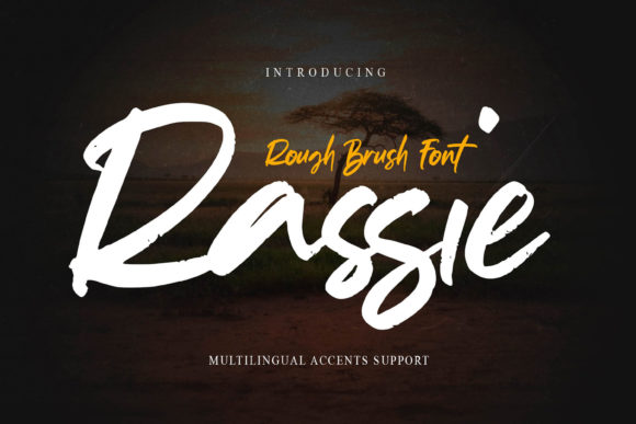 Rassie: The Textured Display Font for Bold Marketing